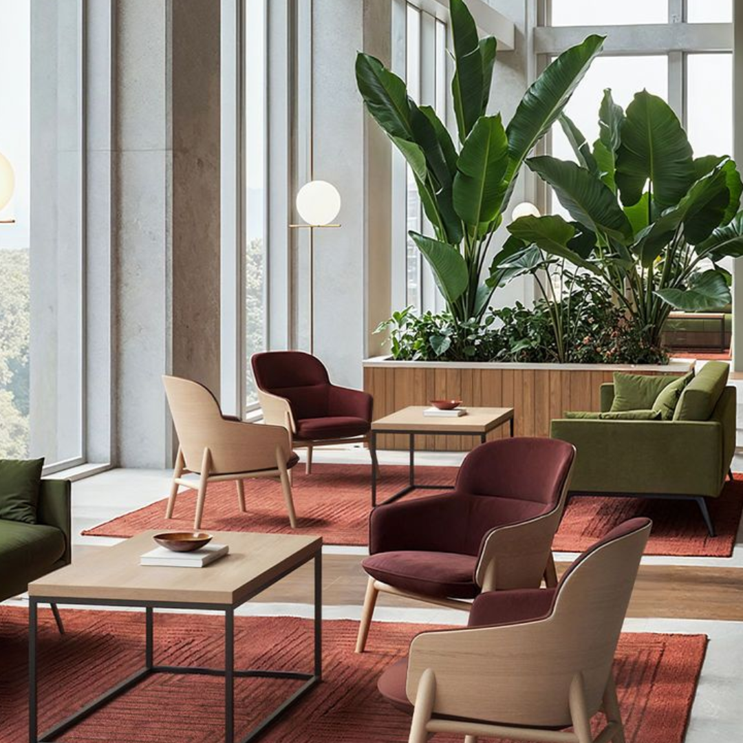 Area lounge contract con arredi resistenti e design naturale Area lounge contract con poltrone bordeaux e in legno, divani verdi, tavolini quadrati, tappeti rossi e grandi piante decorative.